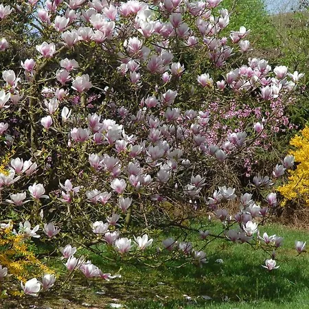 Thalassa Domaineleshesperides