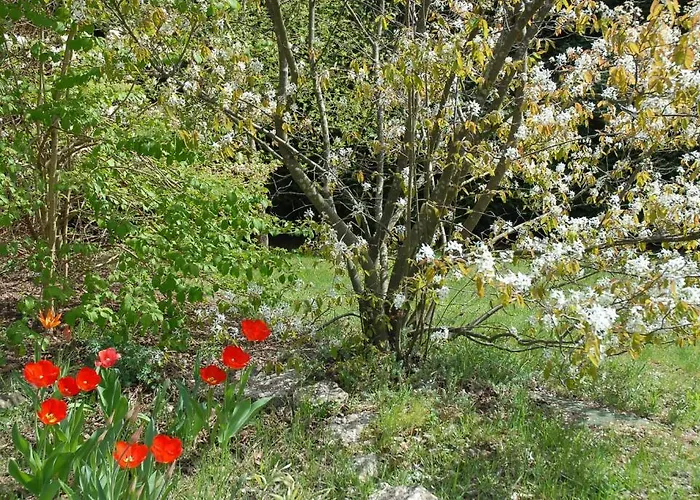 Thalassa Domaineleshesperides 4* Bitche