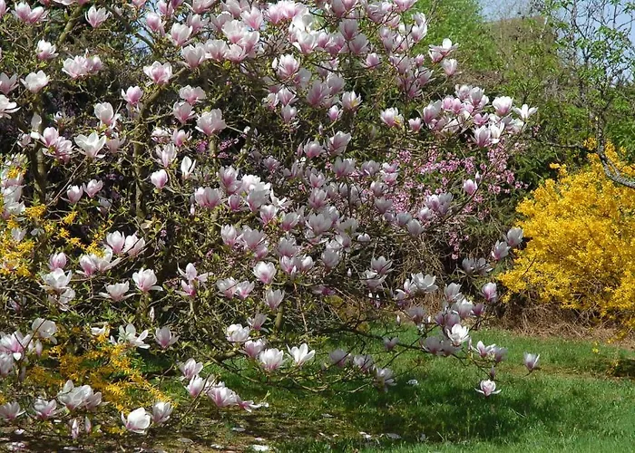 Thalassa Domaineleshesperides