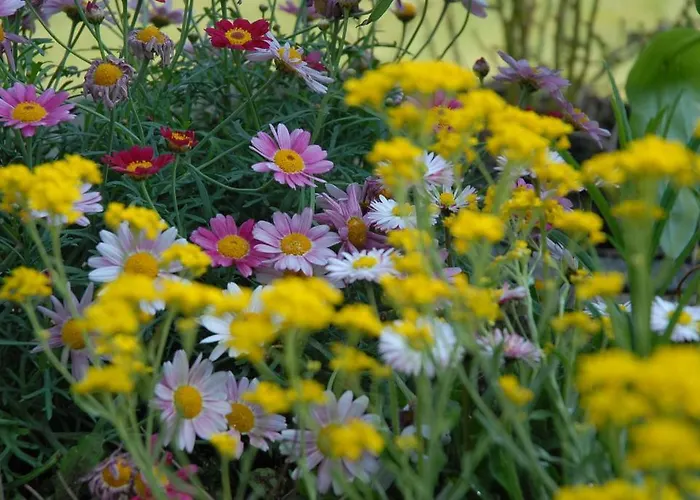 Thalassa Domaineleshesperides Bed & Breakfast 4*